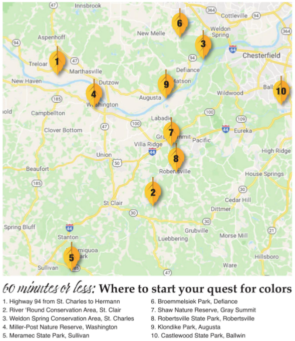 Fall colors map